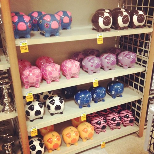 Porn Pics Cute piggy banks at Fred Meyer (Taken with