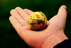 dlittleone:  Oliver Wood: “But you are a seeker. The only thing that I want you