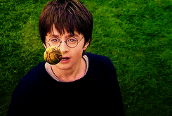 dlittleone:  Oliver Wood: “But you are a seeker. The only thing that I want you