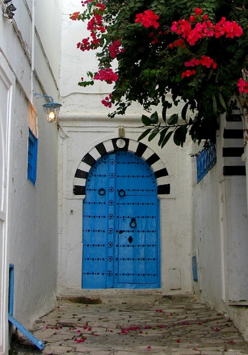 (via Fascinated by the doors II, a photo from Tunis, North | TrekEarth)