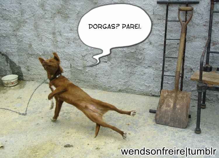 wendsonfreire:  KKKKKKKKKKKKKKKKKKKKKKK 