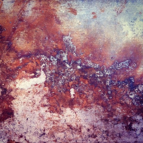 Leaves rain and concrete #texture #organic #concrete #leaf #stain (Taken with instagram)