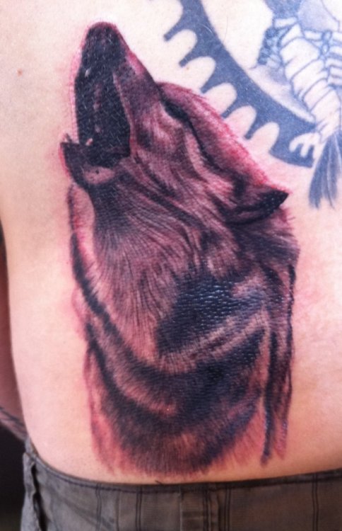 tannersyardtattoo:Wolf by Tanners Yard Tattooist Lauren GowPretty much what I want for my shitty bir