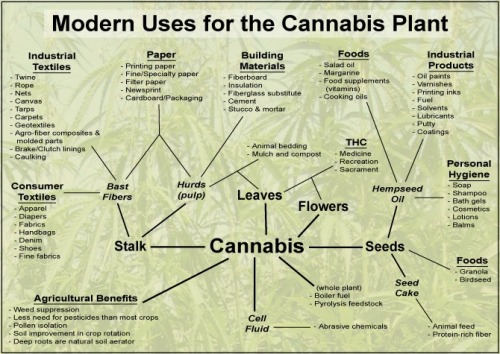 cwnl: Modern Uses for Cannabis/Hemp
