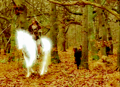 firebeings:   Magic has no power over the human heart.   One of my favorite movies