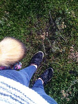 My fox tail Charlie c: