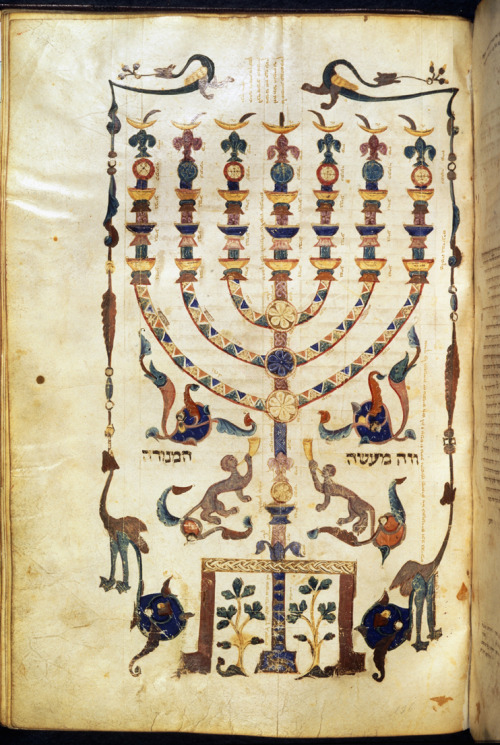 image: Miniature of a Menorah, from a Hebrew Bible, Harley 5710, f. 136During  the Middle Ages there