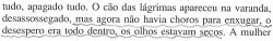  José Saramago em “Ensaio Sobre a Cegueira”.