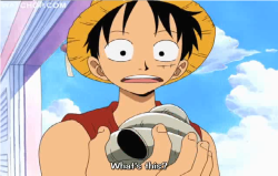 wowitsmegaby:  Poor Usopp…hahahaha 