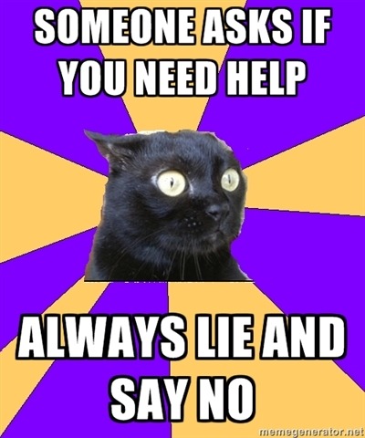 Anxiety Cat