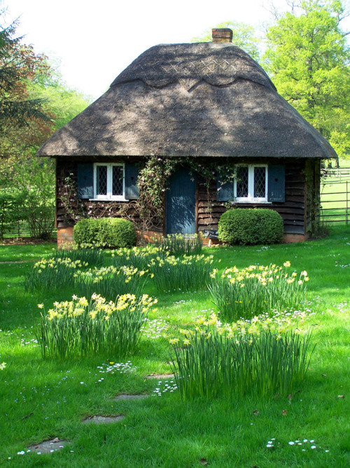 bluepueblo:  Thatched Roof Cottage, Cotswold, England  photo holdyour 