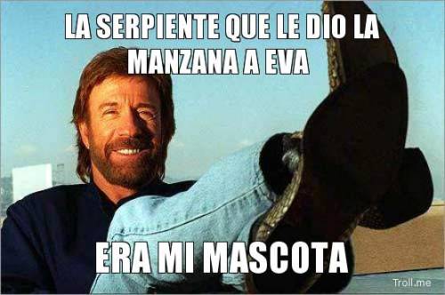 holdensrant:  Reblog obligatorio!