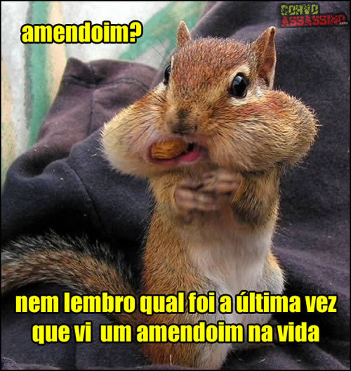 Sonhando...