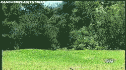 randomweas:  Salsacia V/s Conservia  