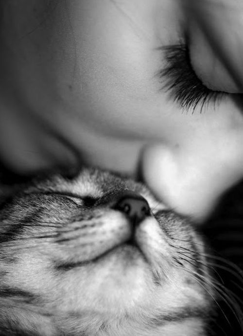 Que com o passar dos dias eu possa aprender muito mais do aprendi antes, que eu possa compreender melhor as pessoas e o porquê delas me não me entenderem, ou partir da minha vida. Que eu possa sempre estar com um sorriso no rosto, e que Deus seja sempre