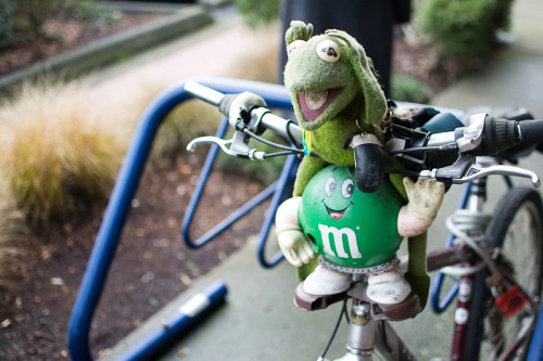 heliotrope-elephant: Not much I could explain here, just that this is someone’s bicycle.