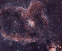 boyastronomer:  Stars of the Heart 