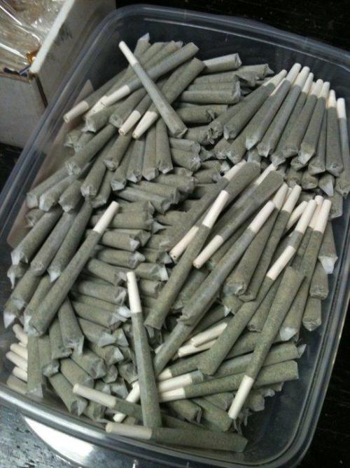 Things Stoners Like