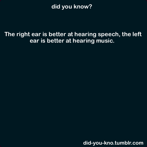 did-you-kno:  Source  Explains why I&rsquo;m always yelling at people &ldquo;WHAT?&rdquo;,