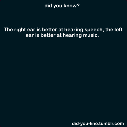 did-you-kno:  Source  Explains why I’m always yelling at people “WHAT?”, even with them facing my good ear.