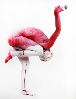 szymon:  Human flamingo by Gesine Marwedel | Photo by Thomas van de Wall 