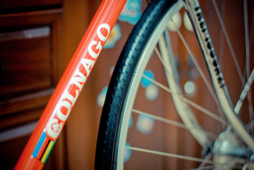 bayudarujati: Peeking at my bike..