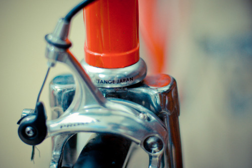 bayudarujati: Peeking at my bike..