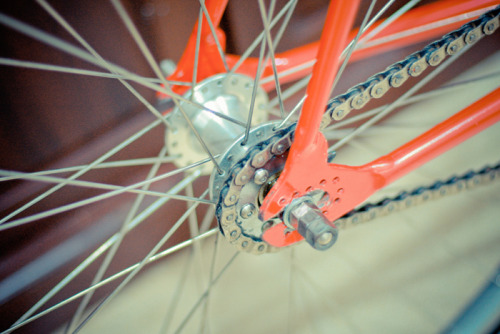 bayudarujati: Peeking at my bike..