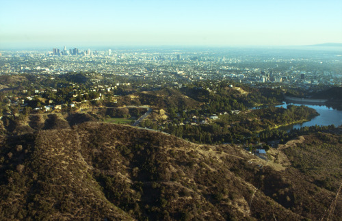 Sex Los Angeles, as seen from the Tree of Life pictures