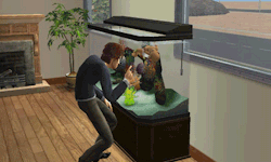 principe-do-azar:  Quer brincar com as pessoas? Joga the sims 