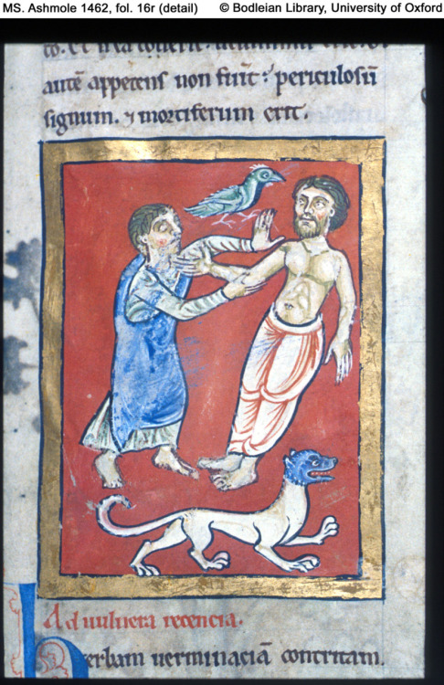 fol. 16rFramed miniature: below, mad dog (white with blue head) running away; recumbent figure of ma