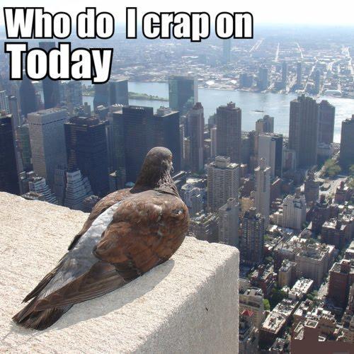 the-absolute-funniest-posts:  lolsofunny: LOL   My lovely followers, please follow this blog immediately!