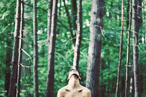  (beauté-masculine) 