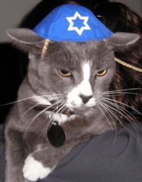 Lawrence never much liked that Adam Sandler Chanukah song. 