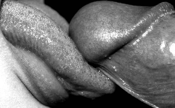 art of penis (reborn)