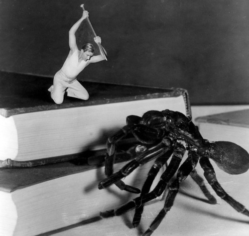 oldhollywood:  Grant Williams in The Incredible Shrinking Man (1957, dir. Jack Arnold), the story of a man who starts shrinking after he’s exposed to a radioactive cloud. To film a scene in which Williams battles a tarantula, Arnold filmed a real Panamani