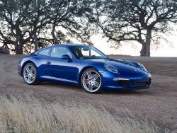 liveskatelaugh:  2013 Porsche 911 Carrera