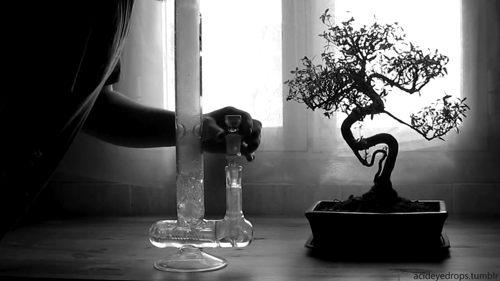 pressurized-contents.tumblr.com/post/16142568847/