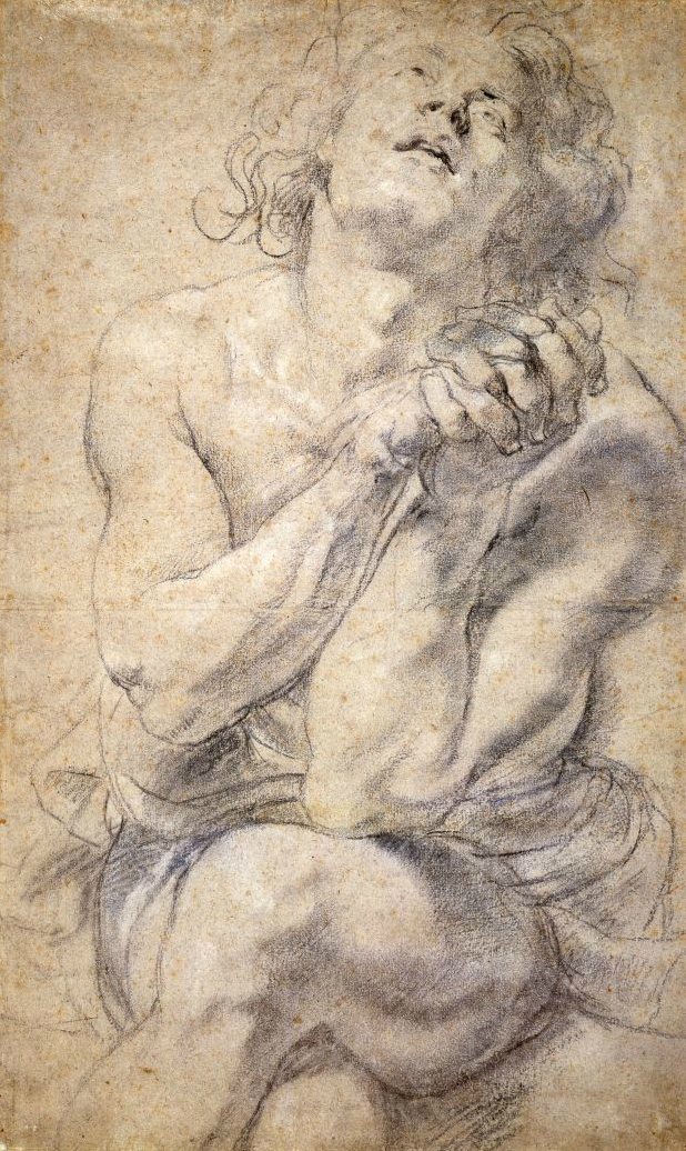 firsttimeuser:  Peter Paul Rubens. Seated Nude Youth The Morgan Library &amp;
