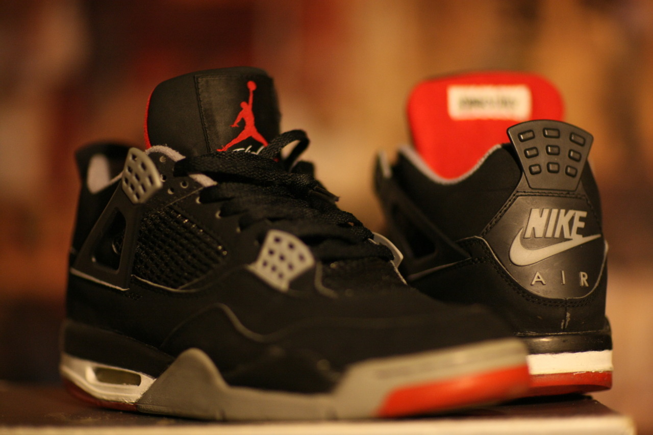 ohitsagirlthing:  1999 bred IVs 