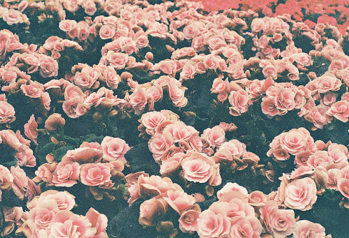 pureegreenn:  untitled by .stamina on Flickr. 