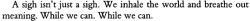weissewiese:  Salman Rushdie, from “The Moor’s Last Sigh” 