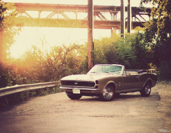 automotivated:  (via Camaro | Detroit History | Flickr - Photo Sharing!)