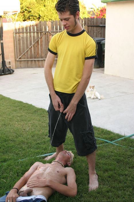 watering the lawn