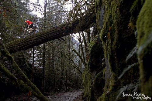 overthehillmtb: bicycleimpressions: Perfect balance. Where I would rather be.