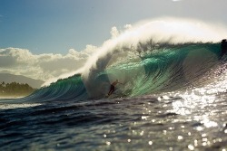 Craving the ocean soo bad. /: Surfing is