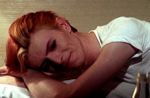 the man who fell to earth