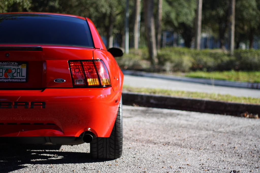 Pure Muscle