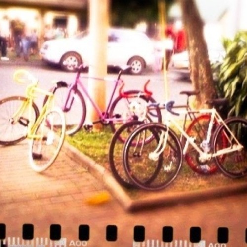 mroink: Fixed Gear Medellín #fixie #fixedgear #bike (Taken with instagram)