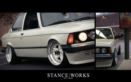 homohermonculous:  wow, got camber?